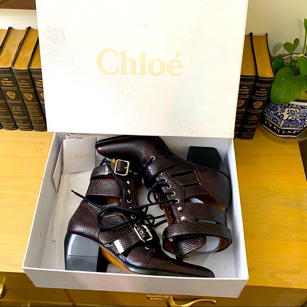 Chloe Serina booties in Bordeaux snakeskin